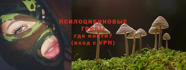 дживик Беломорск