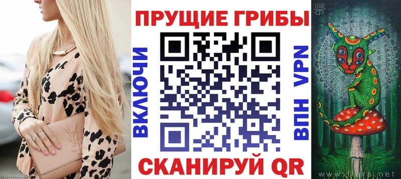 kraken онион дарнет шоп Николаевск-на-Амуре Галлюциногенные грибы GOLDEN TEACHER